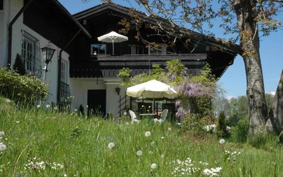 Ferienhaus Nest Blaichach Dış mekan fotoğraf