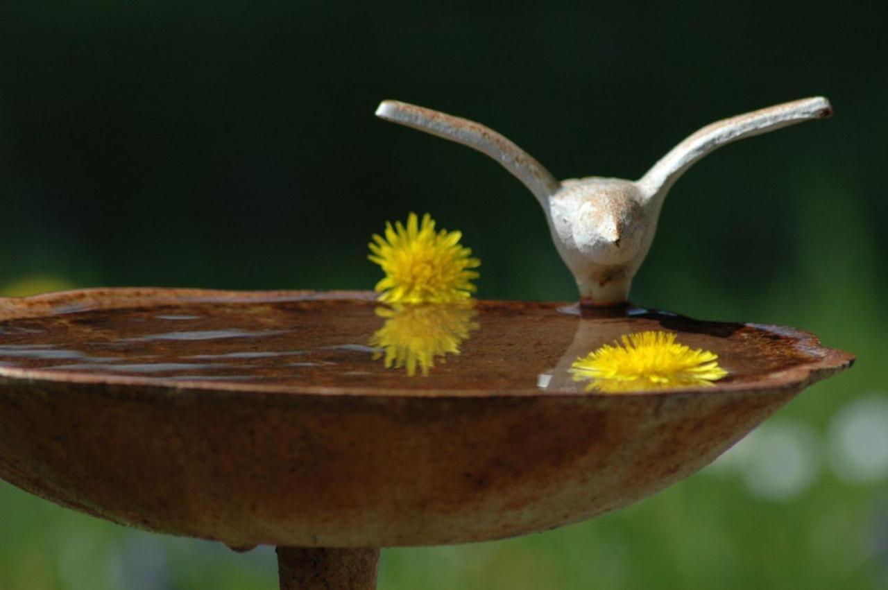 Ferienhaus Nest Blaichach Dış mekan fotoğraf